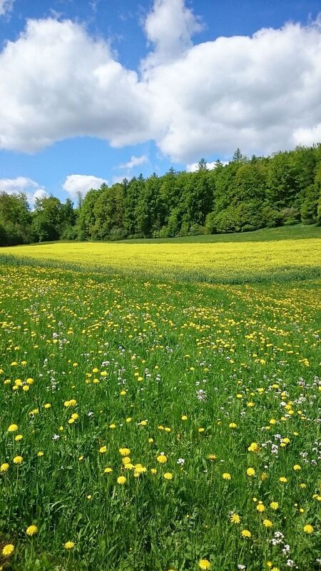 Naturfotos unserer Leser 2016