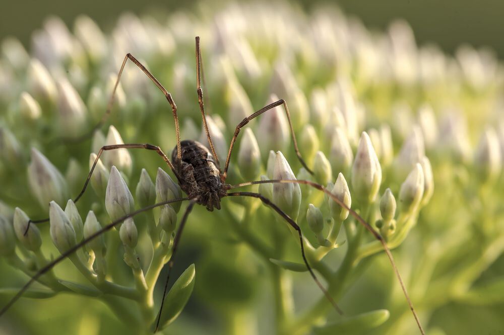 Naturfotos unserer Leser 2016