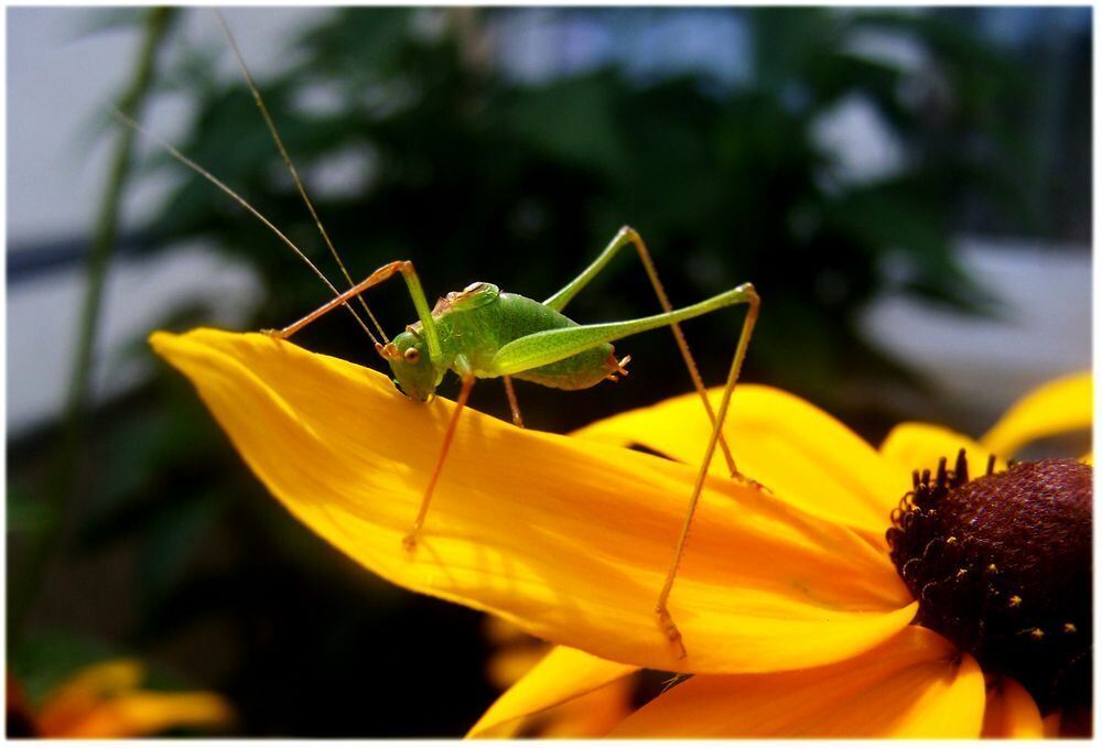 Naturfotos unserer Leser 2016