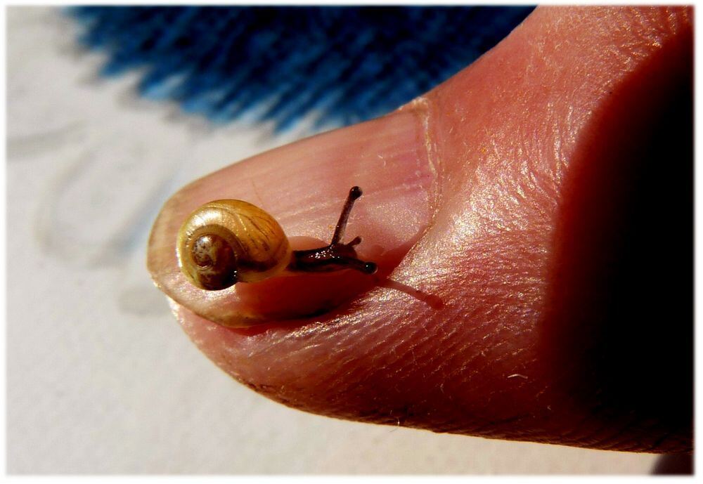 Naturfotos unserer Leser 2016