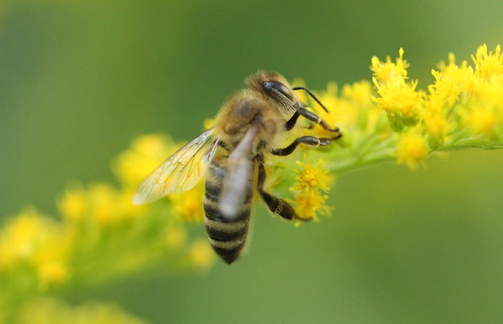 Naturfotos unserer Leser 2016