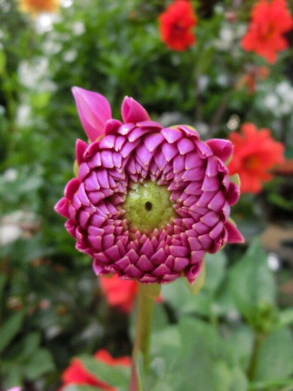 Naturfotos unserer Leser 2016