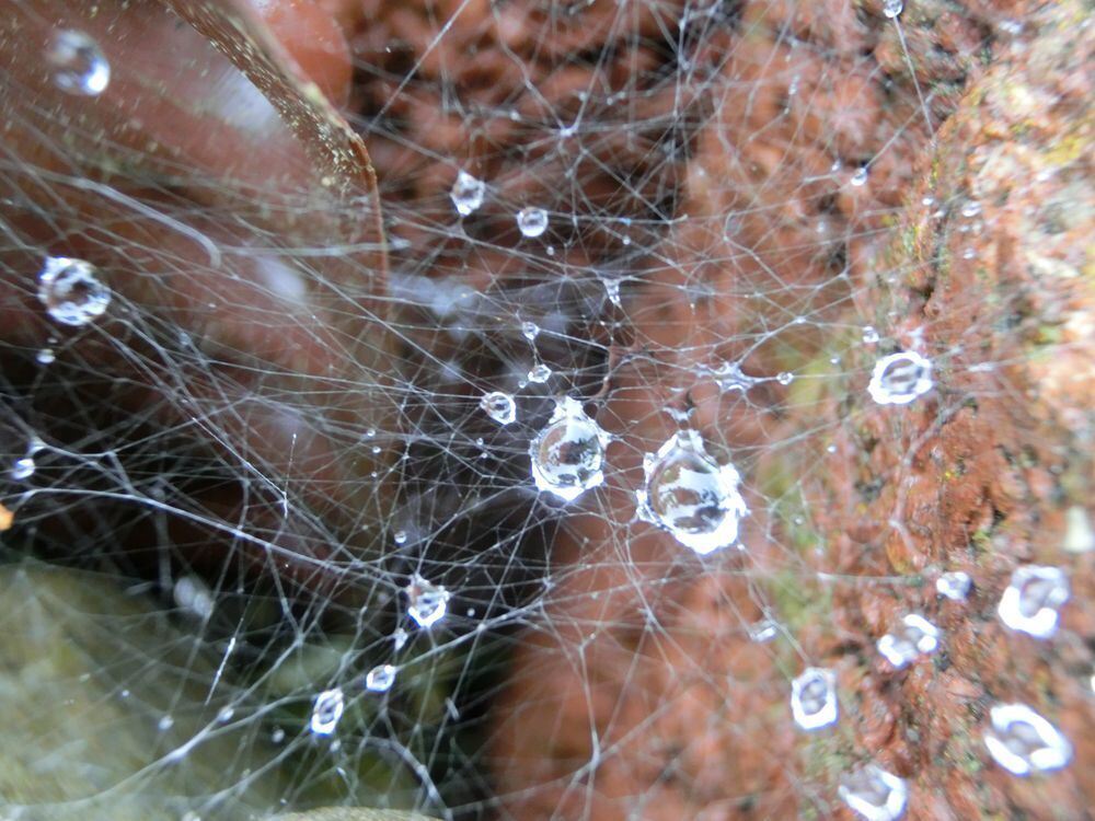 Naturfotos unserer Leser 2016