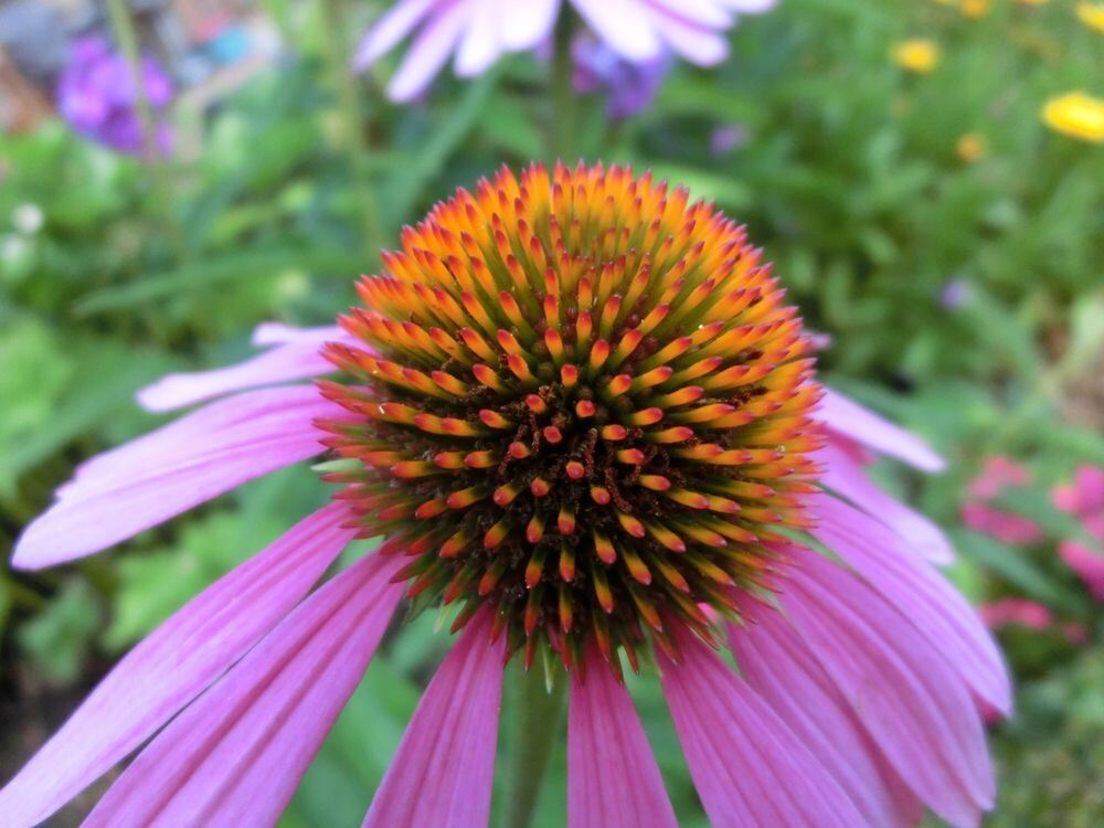 Naturfotos unserer Leser 2016