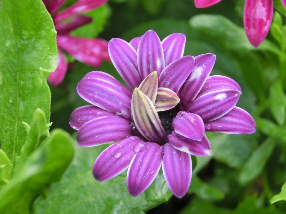 Naturfotos unserer Leser 2016