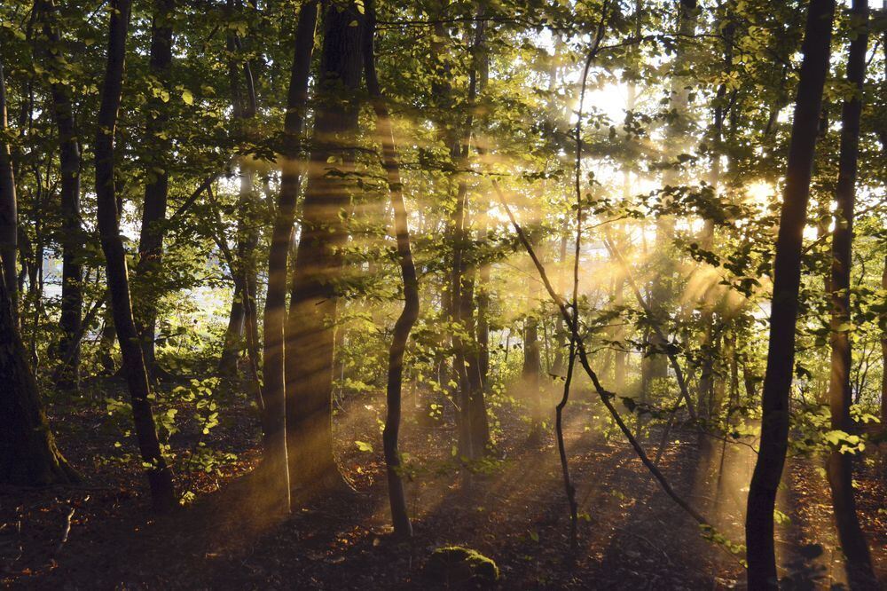 Naturfotos unserer Leser 2016