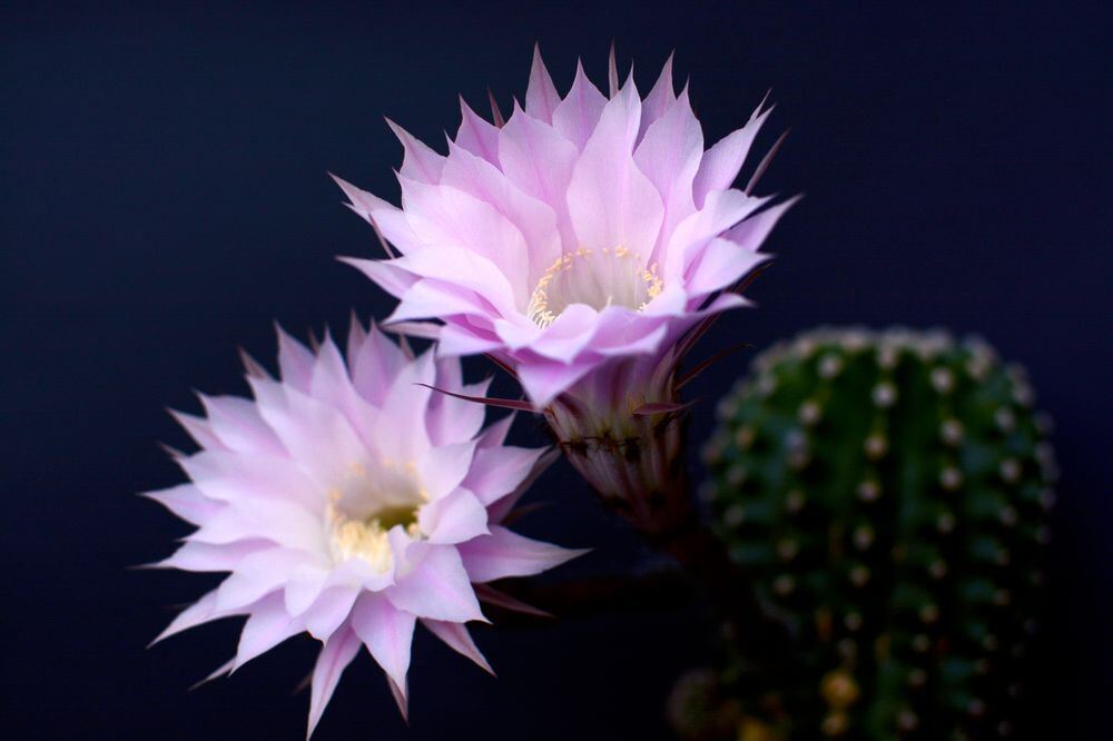 Naturfotos unserer Leser 2016