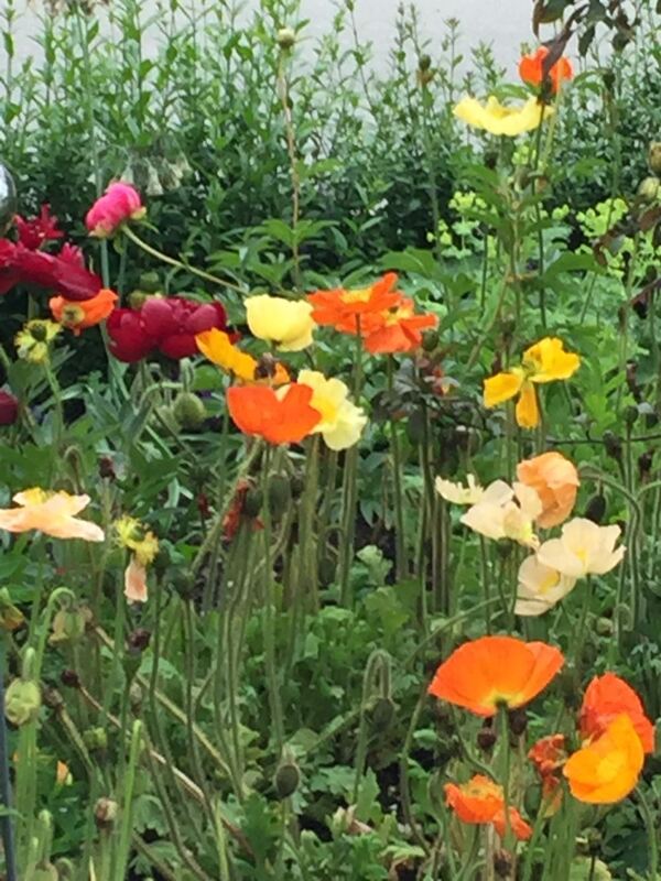 Naturfotos unserer Leser 2016