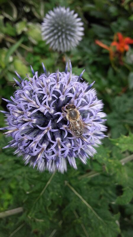 Naturfotos unserer Leser 2016