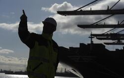 Ein Arbeiter steht vor einem Containerschiff im Hamburger Hafen. Foto: Marcus Brandt/Illustration