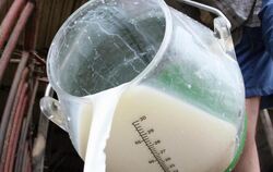 Rückruf bei der Hochwald-Nahrungsmittelgruppe: H-Milch verschiedener Marken ist betroffen. Foto: Friso Gentsch/Symbolbild