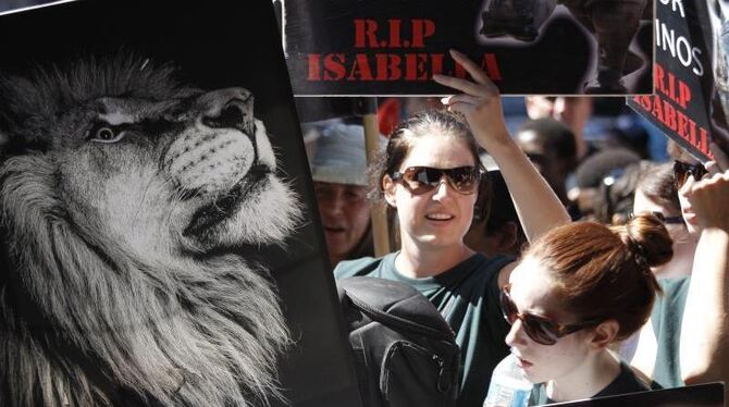 Demonstranten fordern in Johannesburg das Ende der Jagd auf Löwen und Nashörner. Foto: Kim Ludbrook